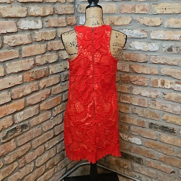 Lovers & Friends Caspian Red Lace sheath dress size Small - Picture 6 of 13